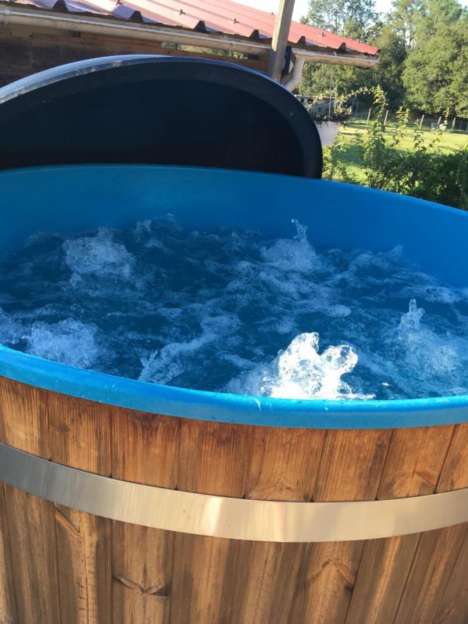 Maison Périgord Piscine Et Сasa de vacaciones La Roche-Chalais